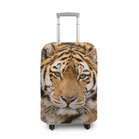 Чехол для чемодана 3D с принтом Тигр в Курске, 86% полиэфир, 14% спандекс | двустороннее нанесение принта, прорези для ручек и колес | animal | predator | striped | tiger | view | wild | взгляд | дикий | животное | полосатый | тигр | хищник