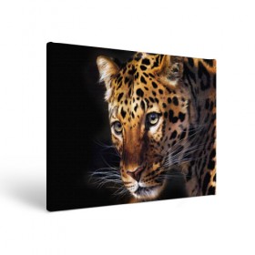Холст прямоугольный с принтом Леопард в Курске, 100% ПВХ |  | Тематика изображения на принте: animal | leopard | look | predator | spotted | wild | взгляд | дикий | животное | леопард | пятнистый | хищник