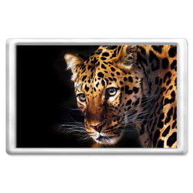 Магнит 45*70 с принтом Леопард в Курске, Пластик | Размер: 78*52 мм; Размер печати: 70*45 | animal | leopard | look | predator | spotted | wild | взгляд | дикий | животное | леопард | пятнистый | хищник
