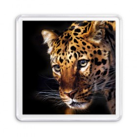 Магнит 55*55 с принтом Леопард в Курске, Пластик | Размер: 65*65 мм; Размер печати: 55*55 мм | Тематика изображения на принте: animal | leopard | look | predator | spotted | wild | взгляд | дикий | животное | леопард | пятнистый | хищник