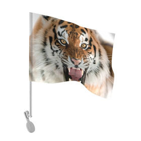 Флаг для автомобиля с принтом Тигр в Курске, 100% полиэстер | Размер: 30*21 см | animal | predator | striped | tiger | view | wild | взгляд | дикий | животное | полосатый | тигр | хищник