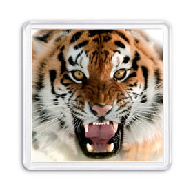 Магнит 55*55 с принтом Тигр в Курске, Пластик | Размер: 65*65 мм; Размер печати: 55*55 мм | Тематика изображения на принте: animal | predator | striped | tiger | view | wild | взгляд | дикий | животное | полосатый | тигр | хищник