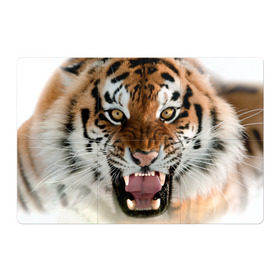 Магнитный плакат 3Х2 с принтом Тигр в Курске, Полимерный материал с магнитным слоем | 6 деталей размером 9*9 см | animal | predator | striped | tiger | view | wild | взгляд | дикий | животное | полосатый | тигр | хищник