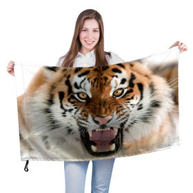 Флаг 3D с принтом Тигр в Курске, 100% полиэстер | плотность ткани — 95 г/м2, размер — 67 х 109 см. Принт наносится с одной стороны | animal | predator | striped | tiger | view | wild | взгляд | дикий | животное | полосатый | тигр | хищник