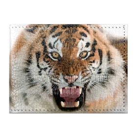 Обложка для студенческого билета с принтом Тигр в Курске, натуральная кожа | Размер: 11*8 см; Печать на всей внешней стороне | animal | predator | striped | tiger | view | wild | взгляд | дикий | животное | полосатый | тигр | хищник
