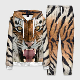 Мужской костюм 3D с принтом Тигр в Курске, 100% полиэстер | Манжеты и пояс оформлены тканевой резинкой, двухслойный капюшон со шнурком для регулировки, карманы спереди | animal | predator | striped | tiger | view | wild | взгляд | дикий | животное | полосатый | тигр | хищник