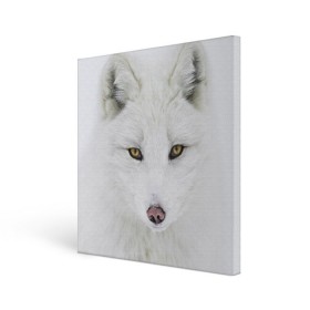 Холст квадратный с принтом Полярная лиса в Курске, 100% ПВХ |  | animal | polar fox | predator | sly | white | wild | белая | дикая | животное | лиса | полярная | хитрая | хищник