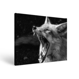 Холст прямоугольный с принтом Лиса в Курске, 100% ПВХ |  | animal | bw | fox | jaws | predator | sly | teeth | wild | yawn | дикая | животное | зевает | зубы | лиса | пасть | хитрая | хищник | чб