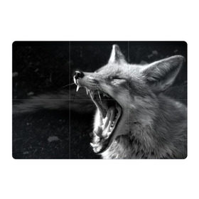Магнитный плакат 3Х2 с принтом Лиса в Курске, Полимерный материал с магнитным слоем | 6 деталей размером 9*9 см | animal | bw | fox | jaws | predator | sly | teeth | wild | yawn | дикая | животное | зевает | зубы | лиса | пасть | хитрая | хищник | чб