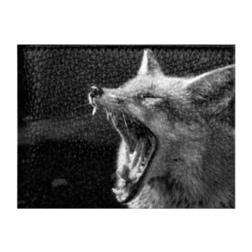 Обложка для студенческого билета с принтом Лиса в Курске, натуральная кожа | Размер: 11*8 см; Печать на всей внешней стороне | animal | bw | fox | jaws | predator | sly | teeth | wild | yawn | дикая | животное | зевает | зубы | лиса | пасть | хитрая | хищник | чб