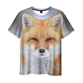Мужская футболка 3D с принтом Лиса в Курске, 100% полиэфир | прямой крой, круглый вырез горловины, длина до линии бедер | animal | fox | look | predator | red | sly | wild | взгляд | дикая | животное | лиса | рыжая | хитрая | хищник
