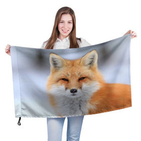 Флаг 3D с принтом Лиса в Курске, 100% полиэстер | плотность ткани — 95 г/м2, размер — 67 х 109 см. Принт наносится с одной стороны | animal | fox | look | predator | red | sly | wild | взгляд | дикая | животное | лиса | рыжая | хитрая | хищник