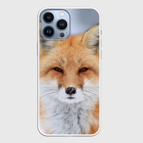 Чехол для iPhone 13 Pro Max с принтом Лиса в Курске,  |  | animal | fox | look | predator | red | sly | wild | взгляд | дикая | животное | лиса | рыжая | хитрая | хищник