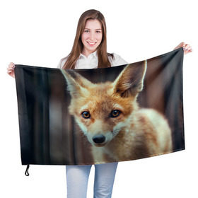 Флаг 3D с принтом Лиса в Курске, 100% полиэстер | плотность ткани — 95 г/м2, размер — 67 х 109 см. Принт наносится с одной стороны | animal | baby | fox | look | predator | red | sly | wild | взгляд | дикая | животное | лиса | малыш | рыжая | хитрая | хищник
