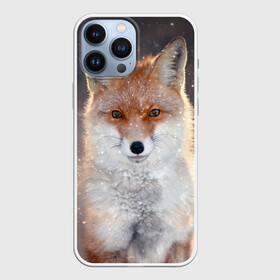 Чехол для iPhone 13 Pro Max с принтом Лиса в Курске,  |  | animal | baby | fox | predator | red | sly | snow | view | wild | winter | взгляд | дикая | животное | зима | лиса | малыш | рыжая | снег | хитрая | хищник