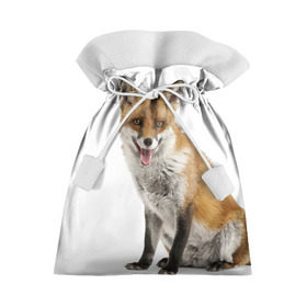 Подарочный 3D мешок с принтом Лиса в Курске, 100% полиэстер | Размер: 29*39 см | animal | baby | fox | look | predator | red | sly | wild | взгляд | дикая | животное | лиса | малыш | рыжая | хитрая | хищник