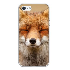 Чехол для iPhone 5/5S матовый с принтом Лиса в Курске, Силикон | Область печати: задняя сторона чехла, без боковых панелей | animal | baby | fox | look | predator | red | sly | wild | взгляд | дикая | животное | лиса | малыш | рыжая | хитрая | хищник