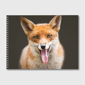 Альбом для рисования с принтом Лиса в Курске, 100% бумага
 | матовая бумага, плотность 200 мг. | Тематика изображения на принте: animal | fox | look | predator | red | sly | wild | взгляд | дикая | животное | лиса | рыжая | хитрая | хищник