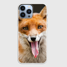 Чехол для iPhone 13 Pro Max с принтом Лиса в Курске,  |  | animal | fox | look | predator | red | sly | wild | взгляд | дикая | животное | лиса | рыжая | хитрая | хищник
