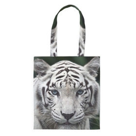 Сумка 3D повседневная с принтом Белый тигр в Курске, 100% полиэстер | Плотность: 200 г/м2; Размер: 34×35 см; Высота лямок: 30 см | animal | jungle | look | predator | tiger | white | wild | белый | взгляд | джунгли | дикий | животное | тигр | хищник
