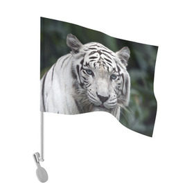 Флаг для автомобиля с принтом Белый тигр в Курске, 100% полиэстер | Размер: 30*21 см | animal | jungle | look | predator | tiger | white | wild | белый | взгляд | джунгли | дикий | животное | тигр | хищник