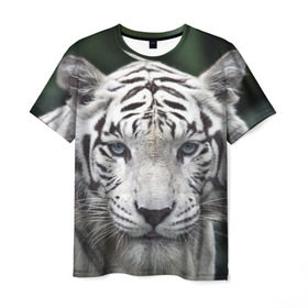 Мужская футболка 3D с принтом Белый тигр в Курске, 100% полиэфир | прямой крой, круглый вырез горловины, длина до линии бедер | animal | jungle | look | predator | tiger | white | wild | белый | взгляд | джунгли | дикий | животное | тигр | хищник
