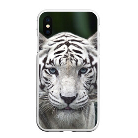 Чехол для iPhone XS Max матовый с принтом Белый тигр в Курске, Силикон | Область печати: задняя сторона чехла, без боковых панелей | Тематика изображения на принте: animal | jungle | look | predator | tiger | white | wild | белый | взгляд | джунгли | дикий | животное | тигр | хищник