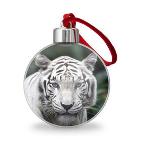 Ёлочный шар с принтом Белый тигр в Курске, Пластик | Диаметр: 77 мм | animal | jungle | look | predator | tiger | white | wild | белый | взгляд | джунгли | дикий | животное | тигр | хищник