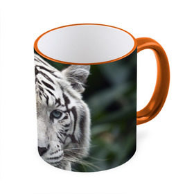 Кружка 3D с принтом Белый тигр в Курске, керамика | ёмкость 330 мл | animal | jungle | look | predator | tiger | white | wild | белый | взгляд | джунгли | дикий | животное | тигр | хищник
