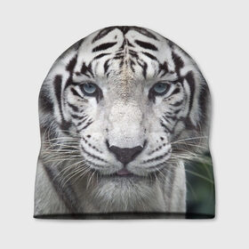 Шапка 3D с принтом Белый тигр в Курске, 100% полиэстер | универсальный размер, печать по всей поверхности изделия | Тематика изображения на принте: animal | jungle | look | predator | tiger | white | wild | белый | взгляд | джунгли | дикий | животное | тигр | хищник