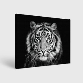 Холст прямоугольный с принтом Тигр в Курске, 100% ПВХ |  | Тематика изображения на принте: animal | black   white | look | predator | tiger | wild | взгляд | дикий | животное | тигр | хищник | черно   белый