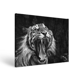 Холст прямоугольный с принтом Тигр в Курске, 100% ПВХ |  | Тематика изображения на принте: animal | black   white | fangs | jaws | jungle | predator | teeth | tiger | wild | джунгли | дикий | животное | клыки | оскал | пасть | тигр | хищник | черно   белый