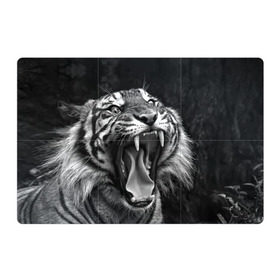 Магнитный плакат 3Х2 с принтом Тигр в Курске, Полимерный материал с магнитным слоем | 6 деталей размером 9*9 см | animal | black   white | fangs | jaws | jungle | predator | teeth | tiger | wild | джунгли | дикий | животное | клыки | оскал | пасть | тигр | хищник | черно   белый