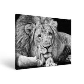Холст прямоугольный с принтом Лев в Курске, 100% ПВХ |  | animal | black   white | king | lies | lion | look | predator | wild | взгляд | дикий | животное | зверь | лев | лежит | хищник | царь | черно   белый