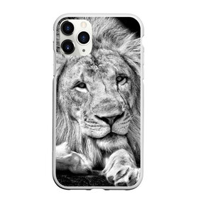 Чехол для iPhone 11 Pro Max матовый с принтом Лев в Курске, Силикон |  | animal | black   white | king | lies | lion | look | predator | wild | взгляд | дикий | животное | зверь | лев | лежит | хищник | царь | черно   белый