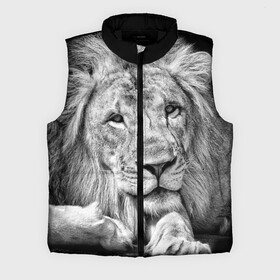 Мужской жилет утепленный 3D с принтом Лев в Курске,  |  | animal | black   white | king | lies | lion | look | predator | wild | взгляд | дикий | животное | зверь | лев | лежит | хищник | царь | черно   белый