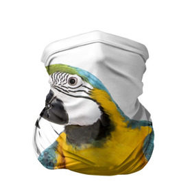 Бандана-труба 3D с принтом Попугай ара в Курске, 100% полиэстер, ткань с особыми свойствами — Activecool | плотность 150‒180 г/м2; хорошо тянется, но сохраняет форму | желтый | птица | синий | экзотика