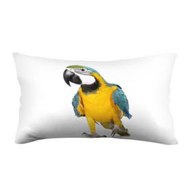 Подушка 3D антистресс с принтом Попугай ара в Курске, наволочка — 100% полиэстер, наполнитель — вспененный полистирол | состоит из подушки и наволочки на молнии | желтый | птица | синий | экзотика