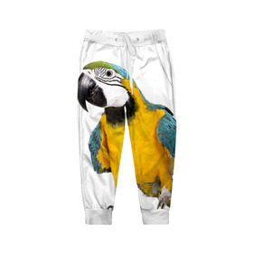 Детские брюки 3D с принтом Попугай ара в Курске, 100% полиэстер | манжеты по низу, эластичный пояс регулируется шнурком, по бокам два кармана без застежек, внутренняя часть кармана из мелкой сетки | Тематика изображения на принте: желтый | птица | синий | экзотика