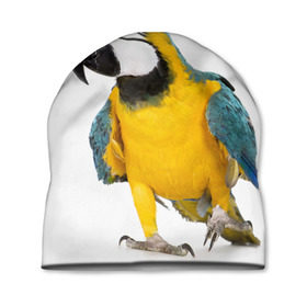 Шапка 3D с принтом Попугай ара в Курске, 100% полиэстер | универсальный размер, печать по всей поверхности изделия | Тематика изображения на принте: желтый | птица | синий | экзотика