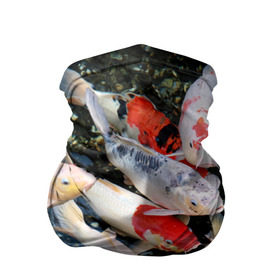 Бандана-труба 3D с принтом Koi Fish (карпы кои) в Курске, 100% полиэстер, ткань с особыми свойствами — Activecool | плотность 150‒180 г/м2; хорошо тянется, но сохраняет форму | Тематика изображения на принте: bright | brocade | carp | color | decorative | depth | exotic | fish | koi | koi fish | sea | water | вода | глубина | декоративные | карпы | кои | море | парчовый | рыбки | цвет | экзотические | яркий
