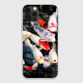 Чехол для iPhone 12 Pro с принтом Koi Fish (карпы кои) в Курске, силикон | область печати: задняя сторона чехла, без боковых панелей | bright | brocade | carp | color | decorative | depth | exotic | fish | koi | koi fish | sea | water | вода | глубина | декоративные | карпы | кои | море | парчовый | рыбки | цвет | экзотические | яркий