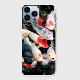 Чехол для iPhone 13 Pro Max с принтом Koi Fish (карпы кои) в Курске,  |  | bright | brocade | carp | color | decorative | depth | exotic | fish | koi | koi fish | sea | water | вода | глубина | декоративные | карпы | кои | море | парчовый | рыбки | цвет | экзотические | яркий