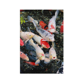 Обложка для паспорта матовая кожа с принтом Koi Fish (карпы кои) в Курске, натуральная матовая кожа | размер 19,3 х 13,7 см; прозрачные пластиковые крепления | Тематика изображения на принте: bright | brocade | carp | color | decorative | depth | exotic | fish | koi | koi fish | sea | water | вода | глубина | декоративные | карпы | кои | море | парчовый | рыбки | цвет | экзотические | яркий