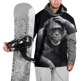 Накидка на куртку 3D с принтом ЕГЭ в Курске, 100% полиэстер |  | Тематика изображения на принте: егэ | обезьяна | шимпанзе | школа | экзамен | экзамены