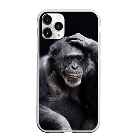 Чехол для iPhone 11 Pro Max матовый с принтом ЕГЭ в Курске, Силикон |  | егэ | обезьяна | шимпанзе | школа | экзамен | экзамены
