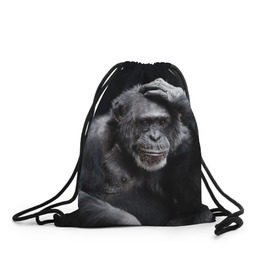 Рюкзак-мешок 3D с принтом ЕГЭ в Курске, 100% полиэстер | плотность ткани — 200 г/м2, размер — 35 х 45 см; лямки — толстые шнурки, застежка на шнуровке, без карманов и подкладки | Тематика изображения на принте: егэ | обезьяна | шимпанзе | школа | экзамен | экзамены