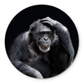Коврик круглый с принтом ЕГЭ в Курске, резина и полиэстер | круглая форма, изображение наносится на всю лицевую часть | егэ | обезьяна | шимпанзе | школа | экзамен | экзамены