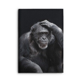 Обложка для автодокументов с принтом ЕГЭ в Курске, натуральная кожа |  размер 19,9*13 см; внутри 4 больших “конверта” для документов и один маленький отдел — туда идеально встанут права | Тематика изображения на принте: егэ | обезьяна | шимпанзе | школа | экзамен | экзамены