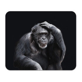 Коврик прямоугольный с принтом ЕГЭ в Курске, натуральный каучук | размер 230 х 185 мм; запечатка лицевой стороны | егэ | обезьяна | шимпанзе | школа | экзамен | экзамены